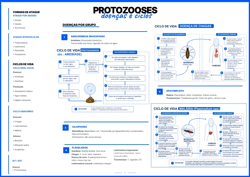 mapas-revisavest (1)