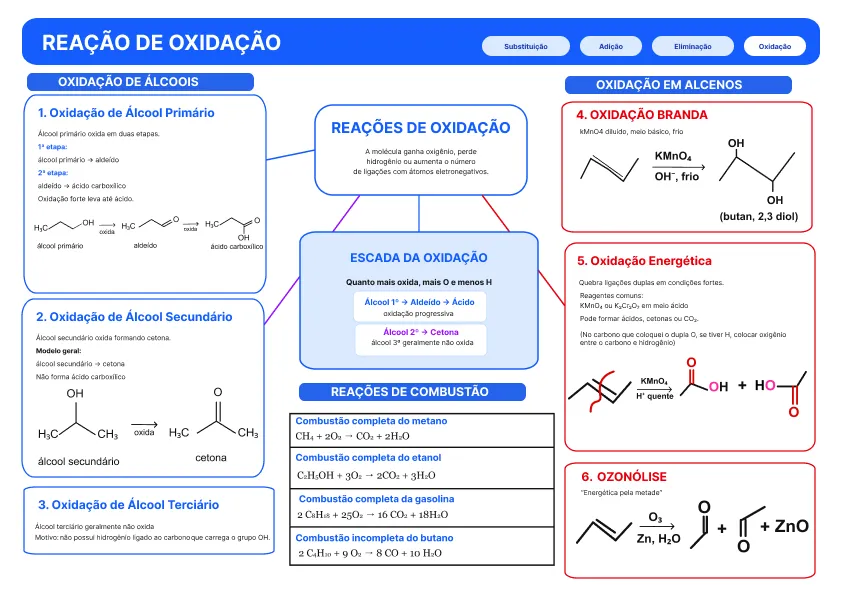 mapas-revisavest (4)